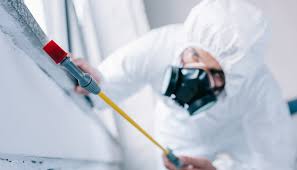 Real Estate Pest Inspections in Coal City, IL